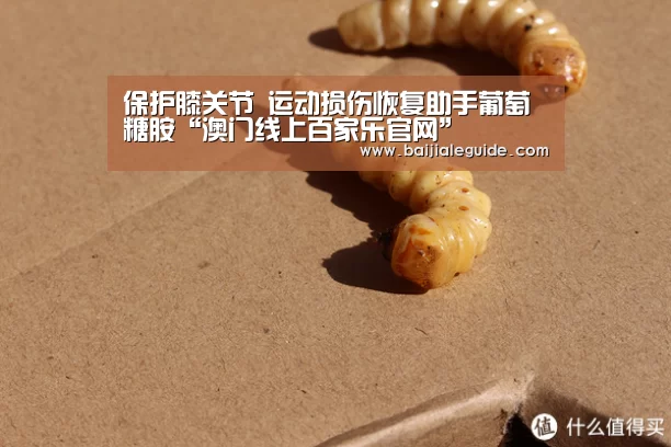 保护膝关节 运动损伤恢复助手葡萄糖胺“澳门线上百家乐官网”